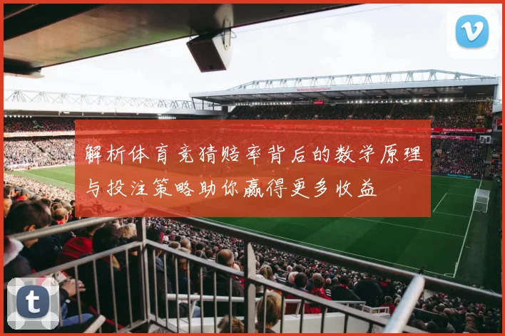 解析体育竞猜赔率背后的数学原理与投注策略助你赢得更多收益