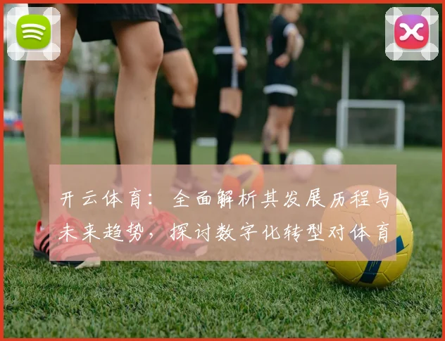 开云体育：全面解析其发展历程与未来趋势，探讨数字化转型对体育行业的深远影响