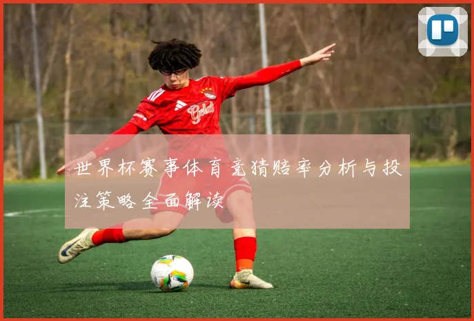 世界杯赛事体育竞猜赔率分析与投注策略全面解读