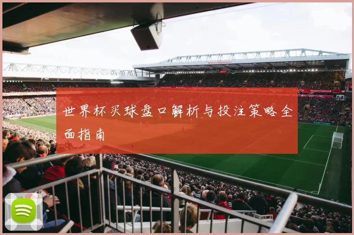 世界杯买球盘口解析与投注策略全面指南