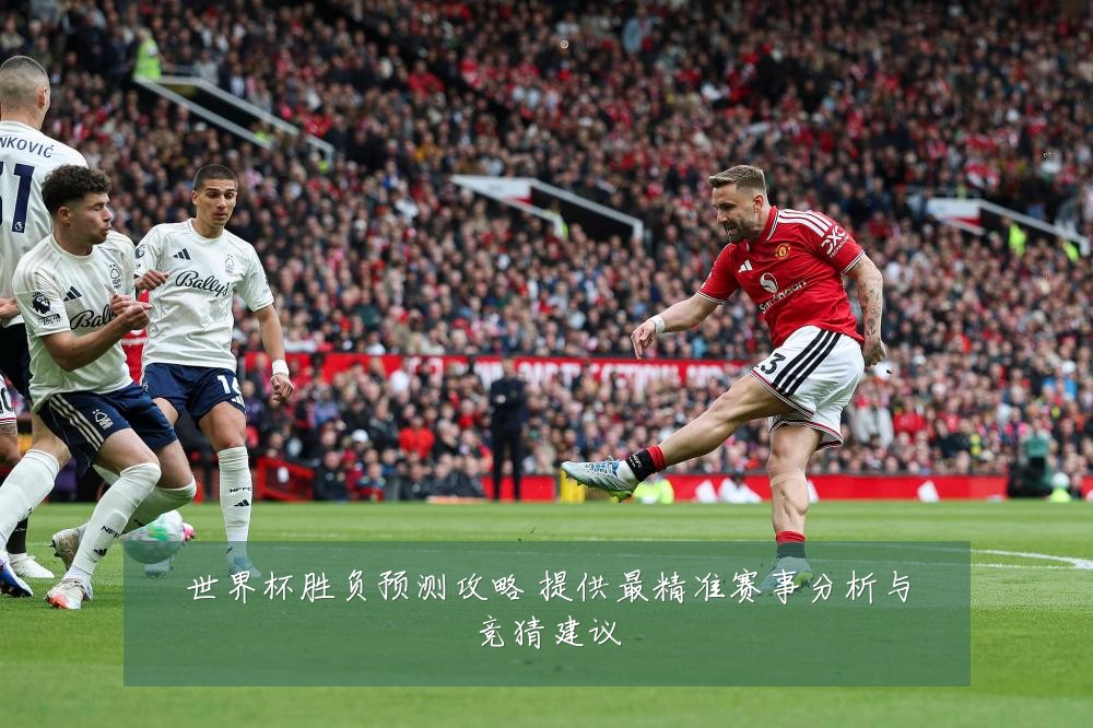世界杯胜负预测攻略 提供最精准赛事分析与竞猜建议